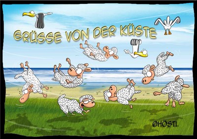 Hösti Postkarte Grüße von der Küste "Schafe"