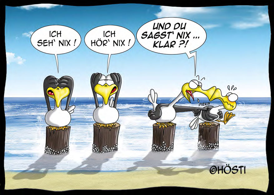 Hösti Postkarte "Du sagst nix"